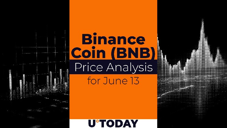 Прогноз цен на монеты Binance (BNB) за 13 июня