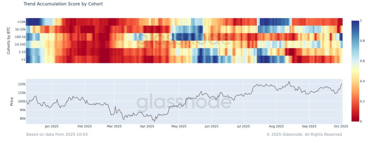 Bitcoin Trend Accumulation