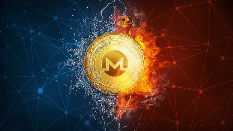 Блокчейн-сыщик ZachXBT объяснил скачок курса Monero на 40%