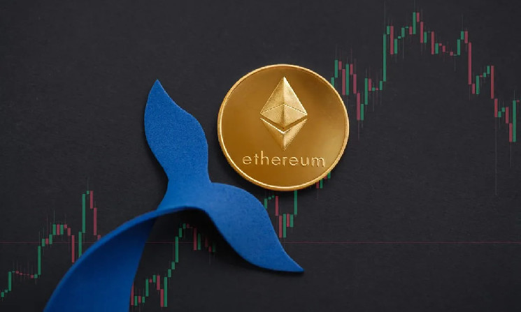 Киты Ethereum контролируют 43% предложения: стоит ли волноваться инвесторам?