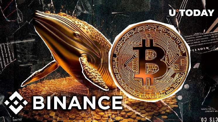 900 BTC оставляет Binance в таинственном движении кита, что происходит?