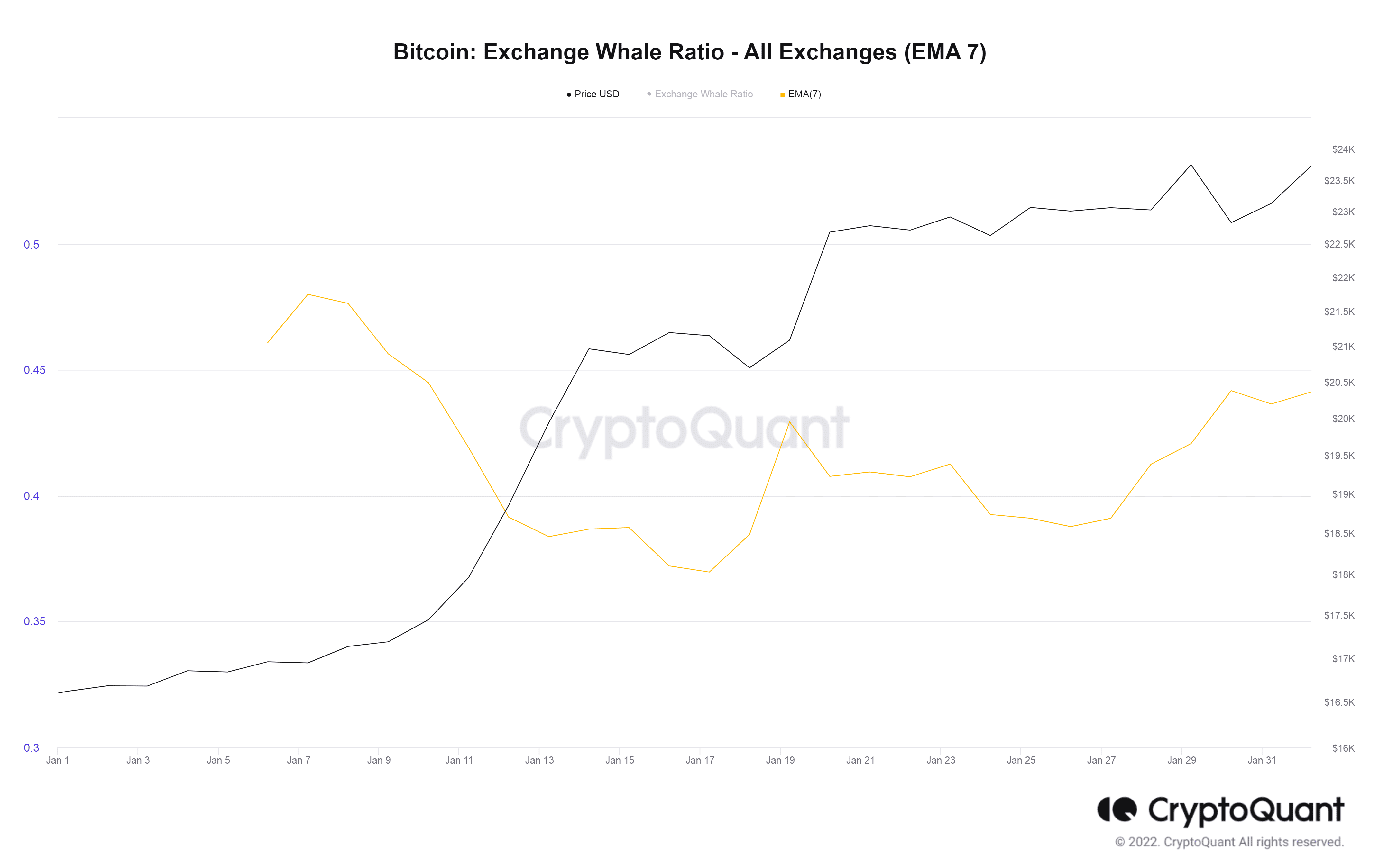 Is Nesty69 A Bitcoin Whale? - tdbpwhr