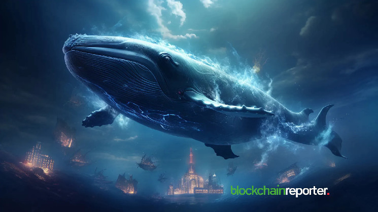 Пик активности биткойн-китов: сигнал для наблюдателей за рынком