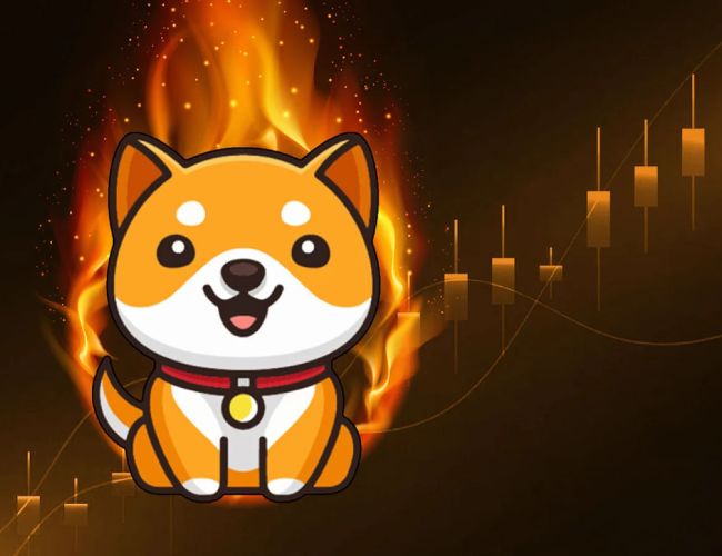 ‘Price of Baby DogeCoin Increases by 15% Through Zero-Fee Strategy’