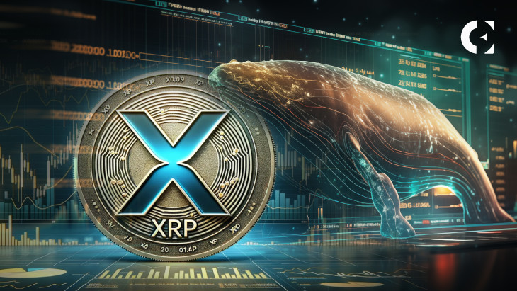 XRP теряет 0,5 доллара, поскольку Whale перемещает 30 миллионов токенов на платформу обмена