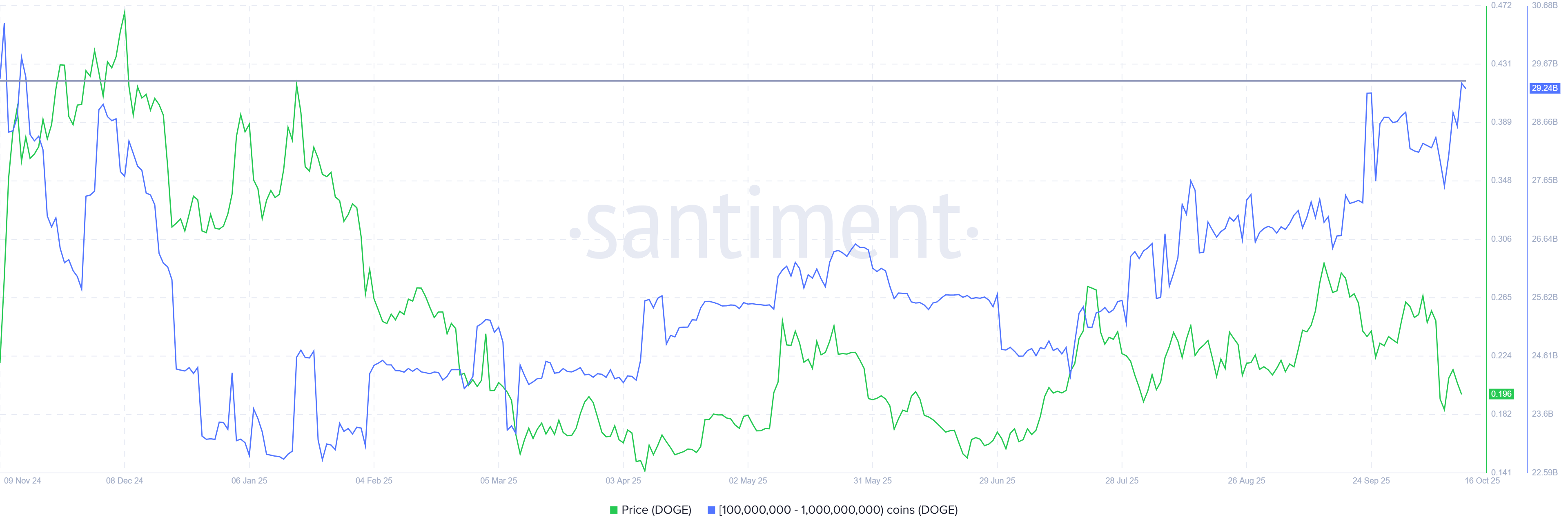 Dogecoin Whale Holdings