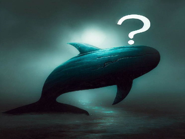 The Giant Corporate Whale is on the move again: It transferred a large amount of altcoins to Binance, and the price reacted!