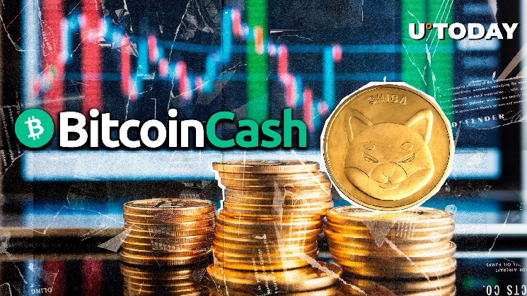 Шиба Ину (Шиб) просто свергнула биткойн наличными