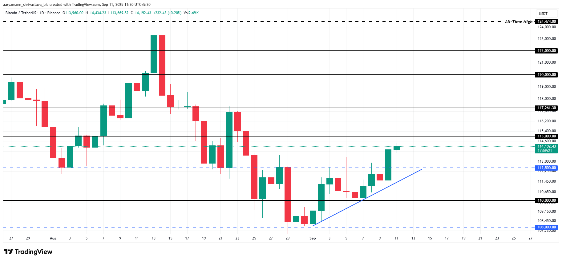 Bitcoin Price Analysis. 