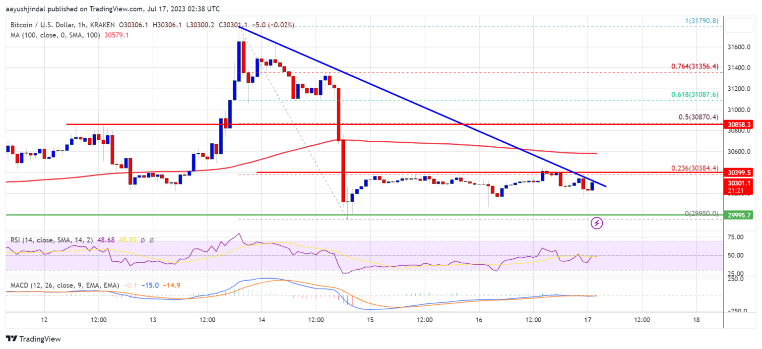 Harga Bitcoin Menargetkan Kenaikan Baru Menjadi $31K Dukungan Ini Adalah Kuncinya