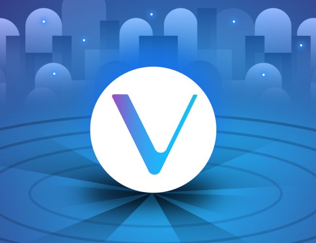 VeChain выйдет на рынок платежей стоимостью 20 триллионов долларов с торговой маркой V3TR