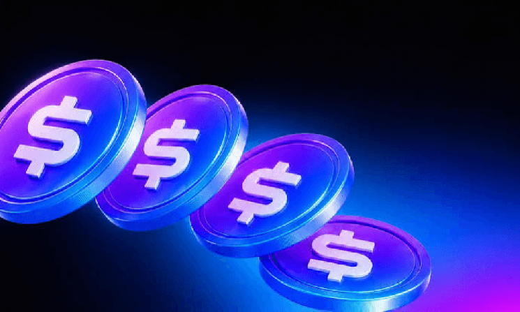 После 3-летнего перерыва возобновил работу сервис zk.money