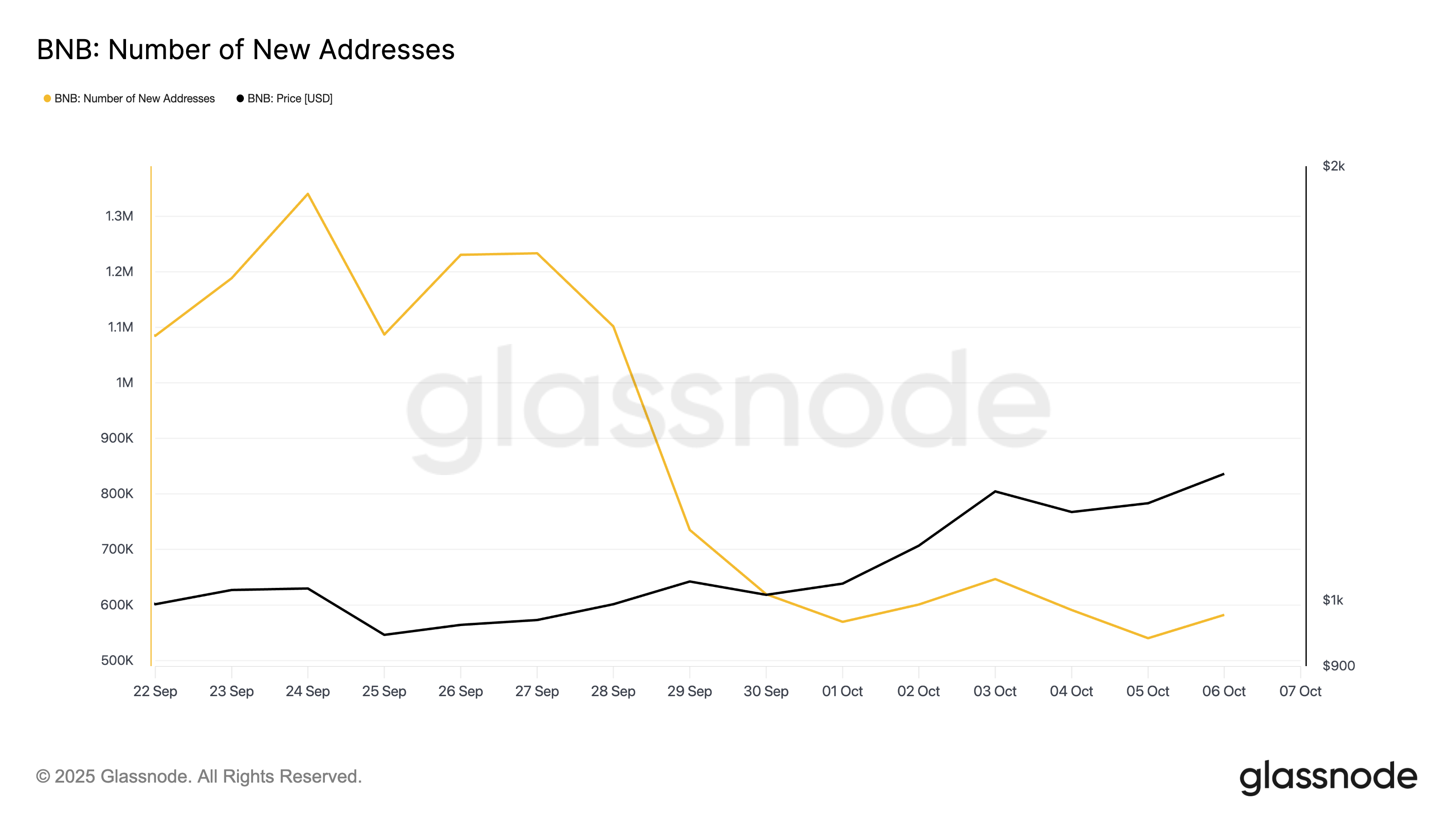 BNB Number of New Addresses