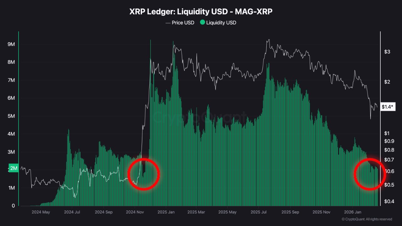 USD Liquidity in XRPL AMMs CryptoQuant