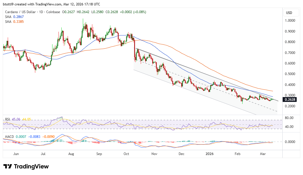 Cardano <span class=
