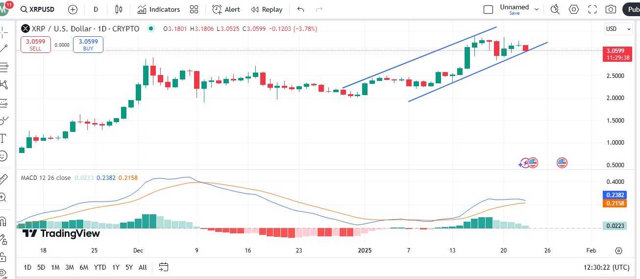 Цена XRP достигнет $20 по мере того, как глобальное принятие финансовых услуг набирает обороты?