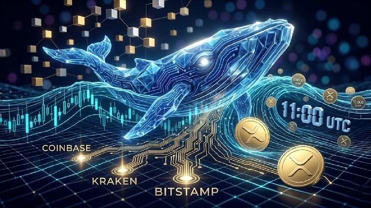 Mystery Whale Snaps Up $35M in XRP in Under an Hour Across Coinbase, Kraken, and Bitstamp