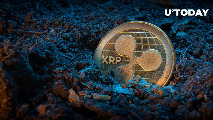 XRP делает захватывающий поворот: пришли миллионы, но на этой неделе — ноль