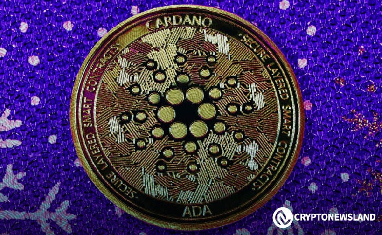 Cardano Surges: Bulls Dominate Market with Nearly 700% Buy Orders