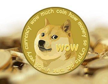 Dogecoins.png