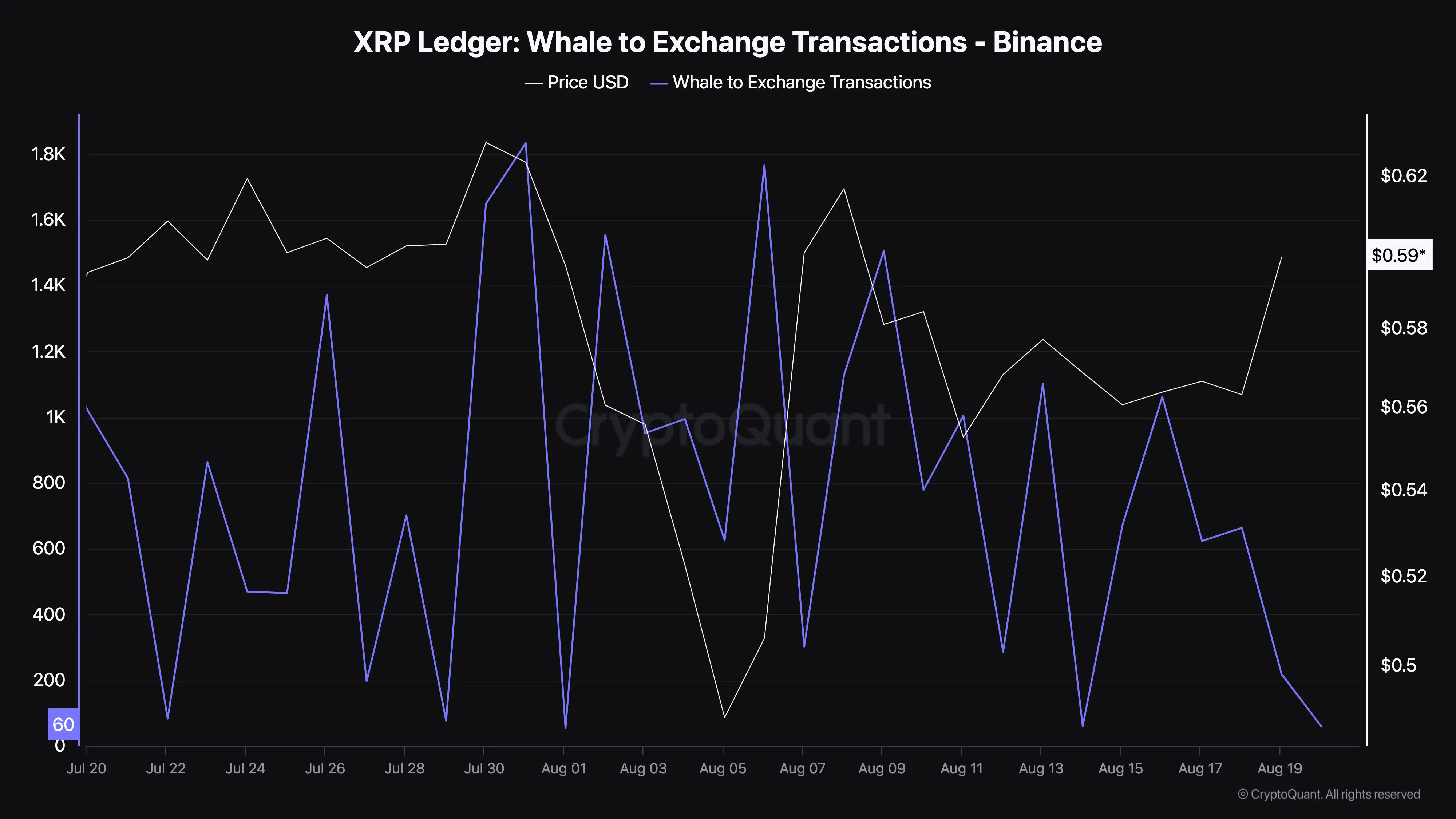 XRP Whale لتبادل المعاملات.