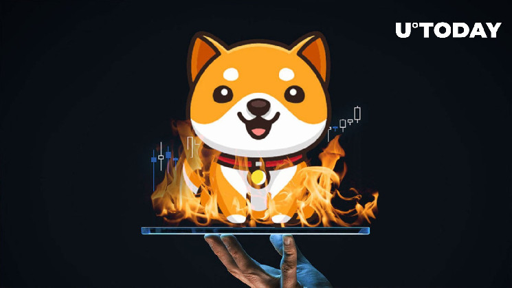 Приближается день большого сжигания монеты Baby Doge, поскольку впереди уничтожены триллионы BabyDoge