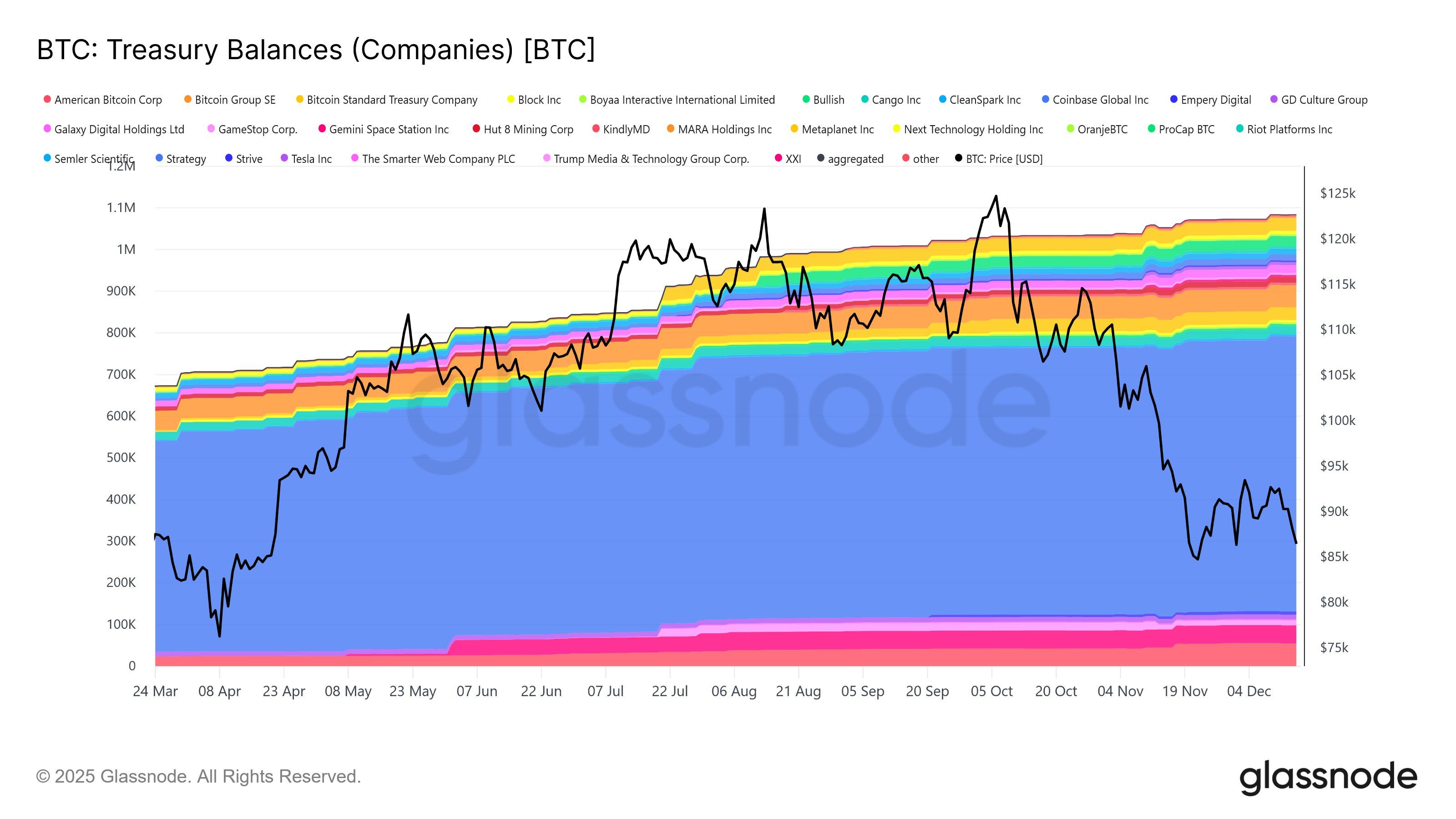 Bitcoin Treasury Balances.
