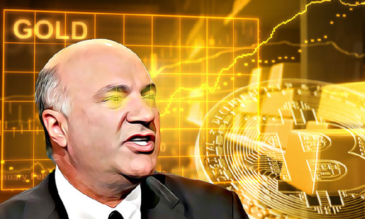 mr wonderful crypto