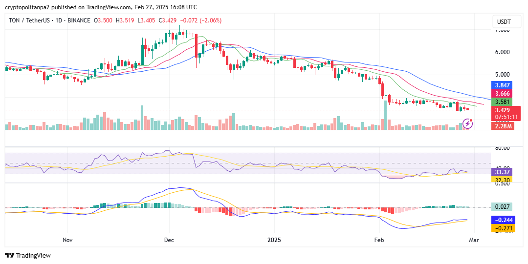 TON/USD 1-Tages-Chart