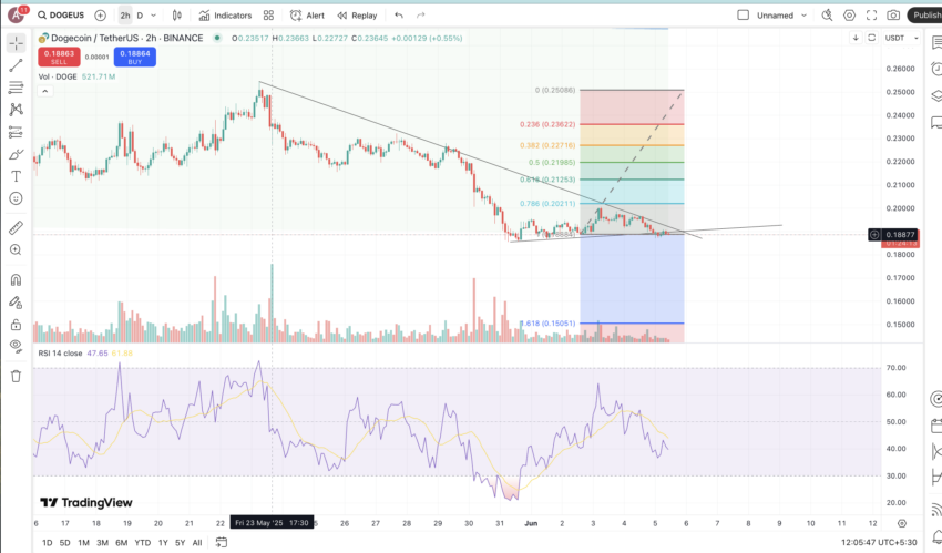 Should You Buy Dogecoin In 2025: A Complete Guide