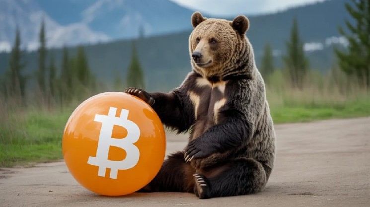 Expert Analyst Reveals “Worst Bear Scenario” for Bitcoin! Predicts the Level the Price Could Fall To!