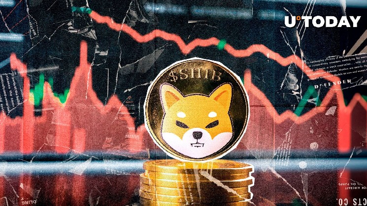 Shiba Inu Whale Transactions понизится на 91%, что происходит?