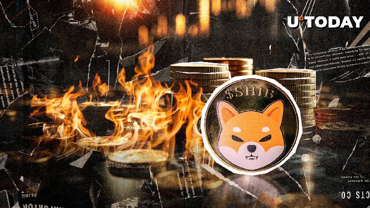 0 Shiba Inu за 24 часа, необычный набор записей ожогов Shib