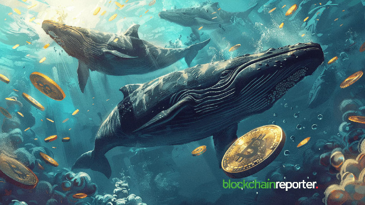 Bitcoin Whale Moves 6M to Binance Amid Market Downturn