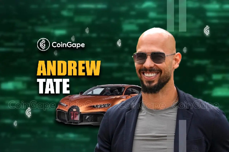 Andrew Tate To Box Ansem In Dubai Over M Crypto Bet