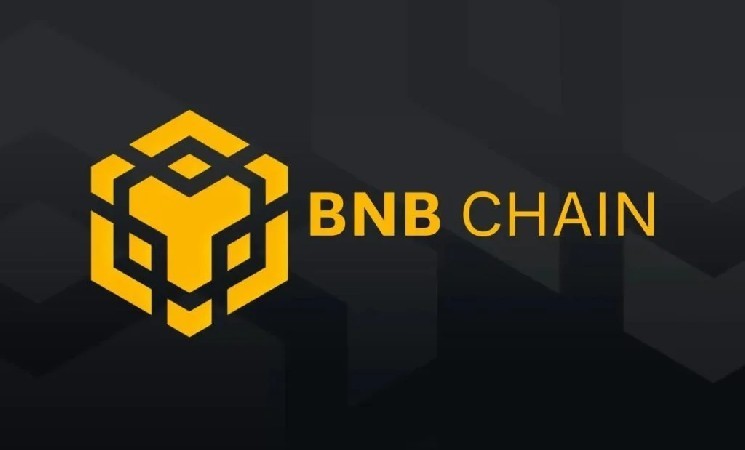 Заявление о проблеме в сети BNB после взлома Balancer! Вот подробности