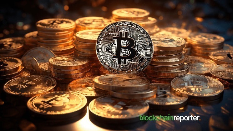 Устойчивые долгосрочные держатели биткойнов уверенно добавляют 635K BTC с января на фоне рыночных смен