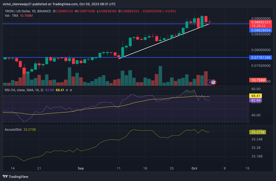 Apakah Kolaborasi Tron dengan Google Pertanda Baik bagi Bulls?