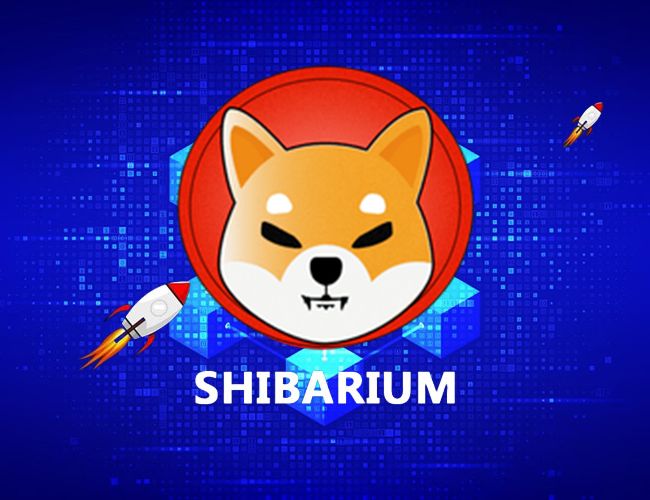 NOWNodes выводит поддержку Shibarium на новый уровень благодаря интеграции 0xShibarium AI