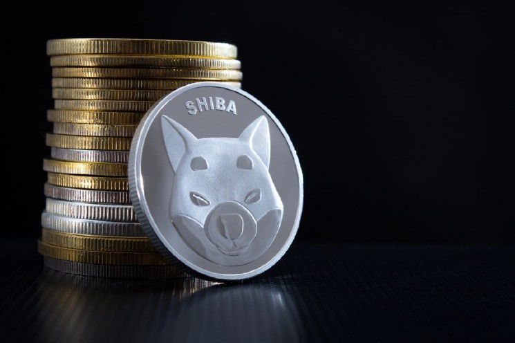 Shiba Inu Loses $0.000006 Threshold: Three Possible Price Scenarios