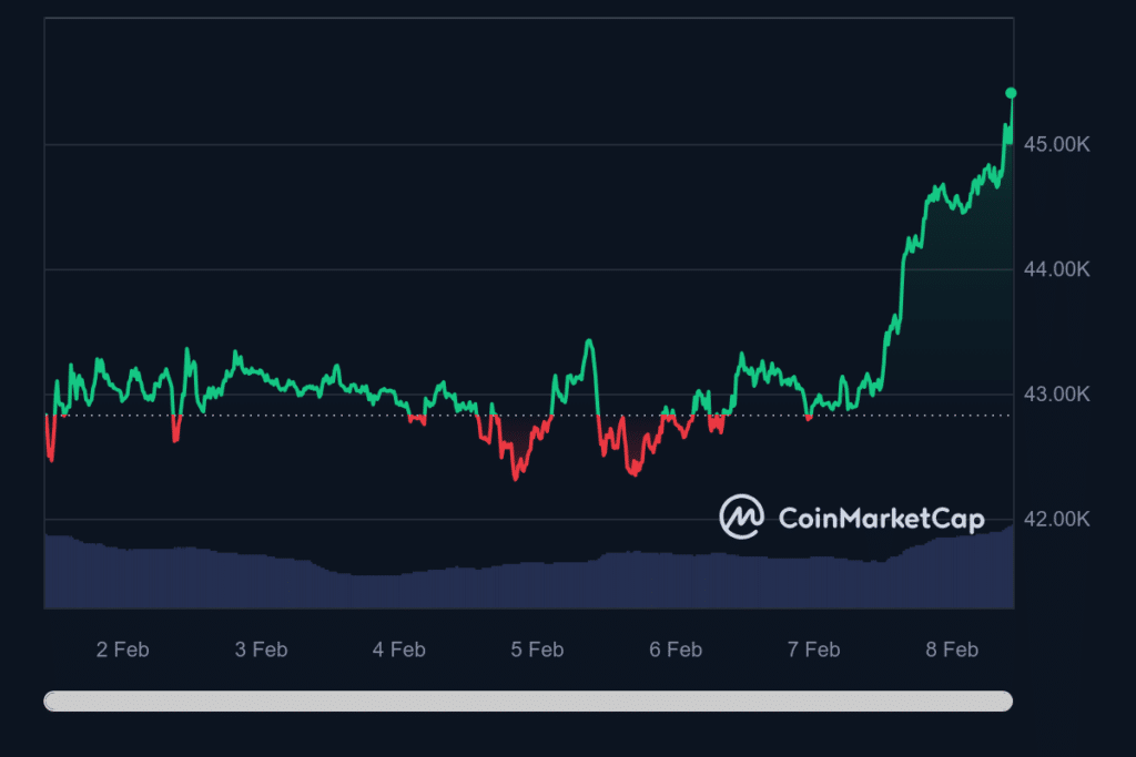 Bitcoin revient à 45 000 $ dans un contexte d'augmentation du volume des transactions et d'un sentiment positif du marché - 1