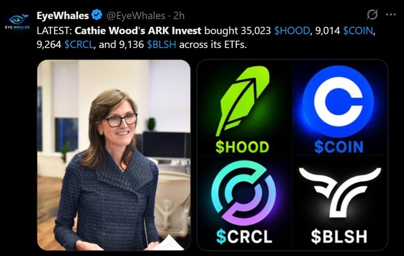 ARK Invest под руководством Кэти Вуд покупает акции Coinbase, Circle, Bullish и Robinhood на спаде в условиях падения криптовалютных акций