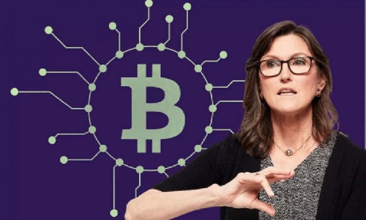 Кэти Вуд: «Биткоин несомненно лучше золота» Кэти Вуд: «Биткоин несомненно лучше золота»