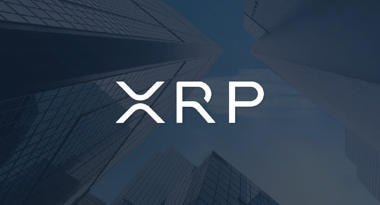 Топ-10 богатых XRP-списков 2024 года: кто являются крупнейшими держателями XRP?