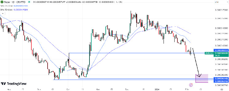 Pepe (PEPE) Price Chart / Source: TradingView