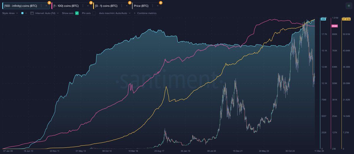 Bitcoin wallet distribution chart