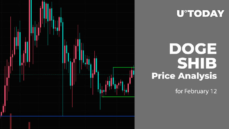 Прогноз цен DOGE и SHIB на 12 февраля