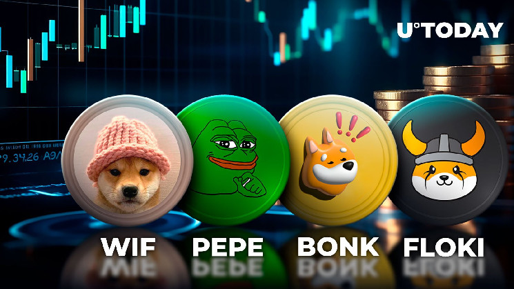 Meme Coin Season Is Back. These Are the Top Performers