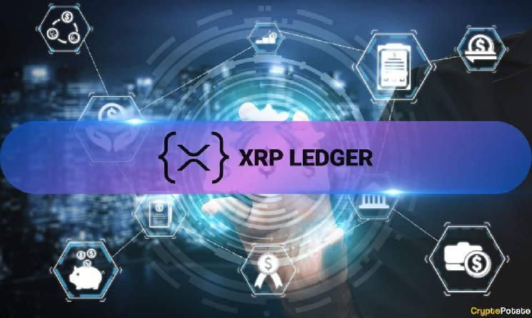 Деятельность XRP Ledger (XRPL): отчет Messari показывает рост рыночной капитализации на 169 миллионов долларов