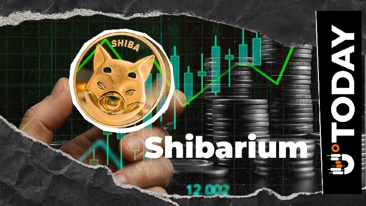 Shibarium Transactions Hit Multiweek High, Up 1,451% in Four Days